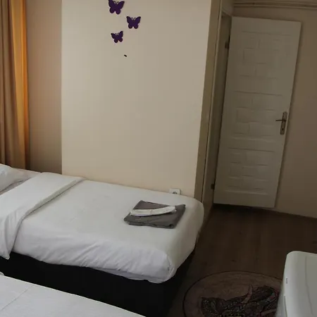 Homestay Limon *