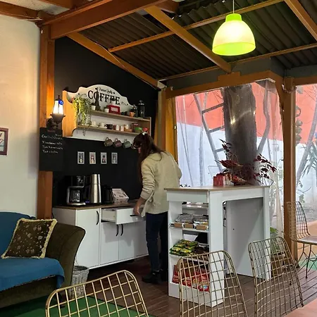 Limon בית אירוח אודיירן